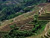 龙脊梯田掠影