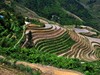 龙脊梯田掠影