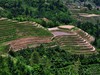 龙脊梯田掠影