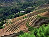 龙脊梯田掠影