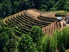 龙脊梯田掠影