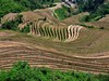 龙脊梯田掠影