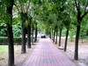国庆节滨海新村随拍