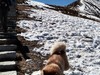 2015金秋川西自驾穿越之旅(六)--------折多山雄姿