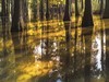 郊 野 水 衫