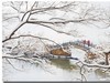 粉妆玉砌鼋头渚