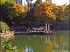 手机扫街——大观河风景速写