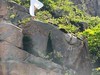 山中仙子