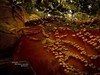 ---【 蓟 州  -- 盘 山 】---