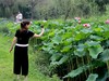 2016荷圹倩影