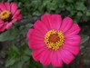 星空体育平台蓝调NV10拍花