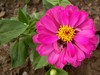 星空体育平台蓝调NV10拍花