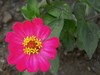 星空体育平台蓝调NV10拍花