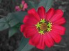 星空体育平台蓝调NV10拍花