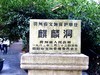 携一组麒麟洞拜年