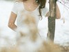 【右视觉摄影】 偶遇 雪 美丽冻人