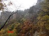 云深不知处