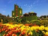 【手机摄影】2017阜阳菊花展