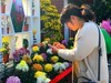 【手机摄影】2017阜阳菊花展