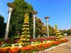 【手机摄影】2017阜阳菊花展