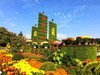 【手机摄影】2017阜阳菊花展