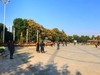 【手机摄影】2017阜阳菊花展