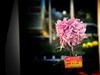【手机摄影】2017阜阳菊花展