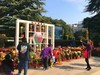 【手机摄影】2017阜阳菊花展