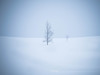 镜头18F2，35F2，50-140