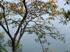 公园的早晨