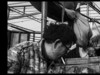 【小镇】 2016  在 路 上 （二）