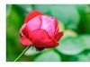 悄无声息