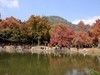 苏州天平山