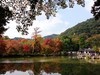 苏州天平山