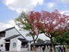 枫桥古镇