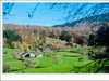 山林写秋意
