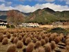 日本关西红叶狩——河口湖【3】