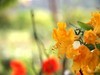 花星球随拍