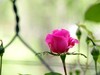 花星球随拍