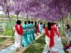 花星球随拍