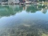 茶桐村（沈从文笔下的《边城》）