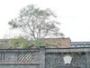 2021-9-27 京城三里河公园