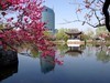 无锡即将进入最美季节
