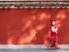 广州小故宫。