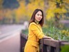 走在银杏道上