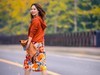 走在银杏道上