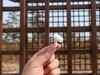 这才是我想要的降噪耳机：LolliPods Pro蓝牙耳机使用报告