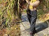公园晨练