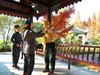 公园晨练