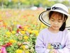 RP加RF50 1.8